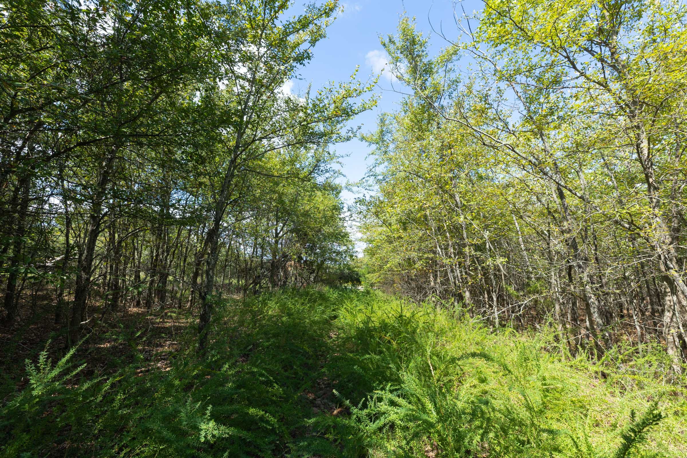 Reserves At Cattail Cove Phase II Tract 98 photo 14