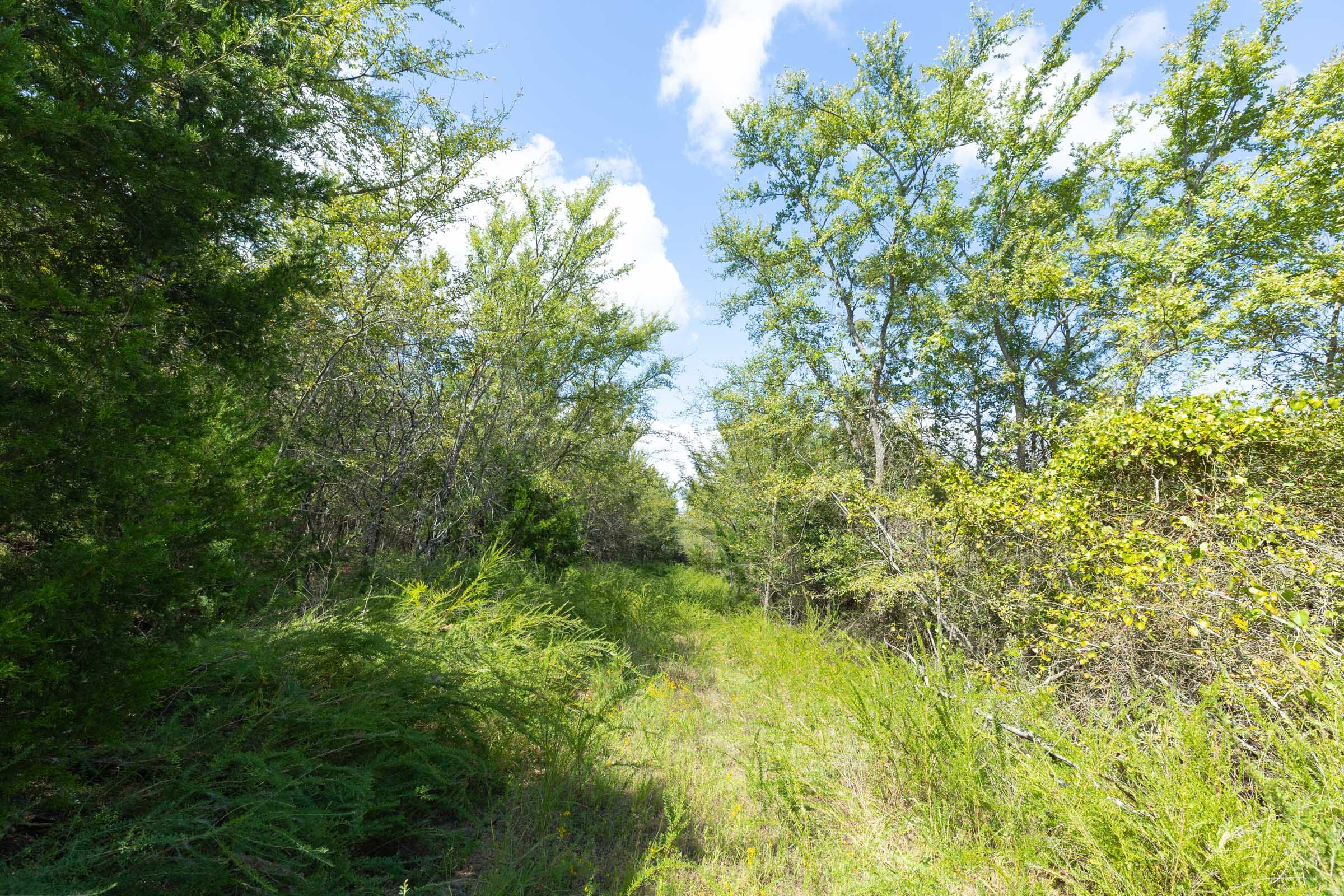 Reserves At Cattail Cove Phase II Tract 98 photo 13