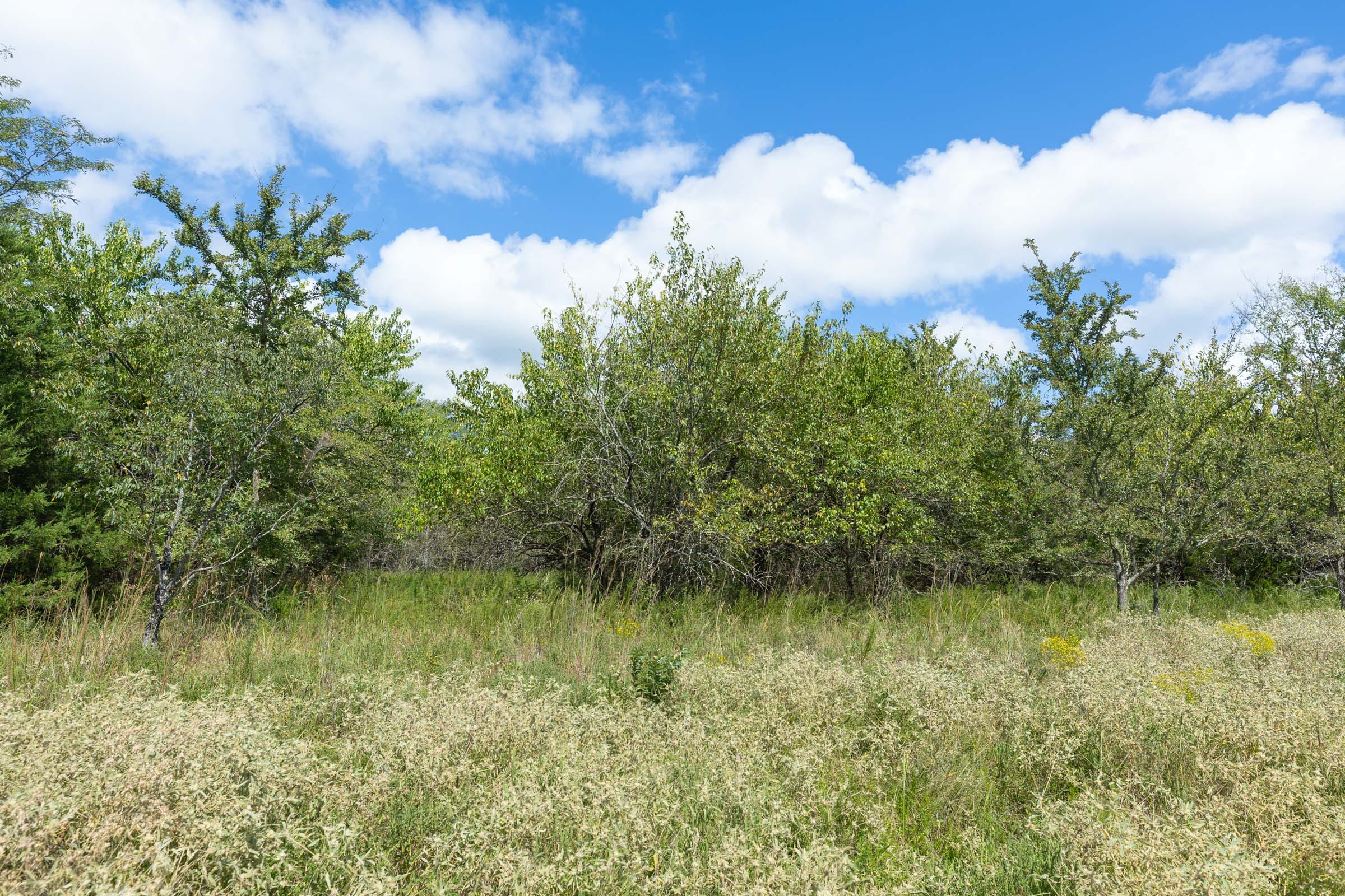 Reserves At Cattail Cove Phase II Tract 98 photo 4