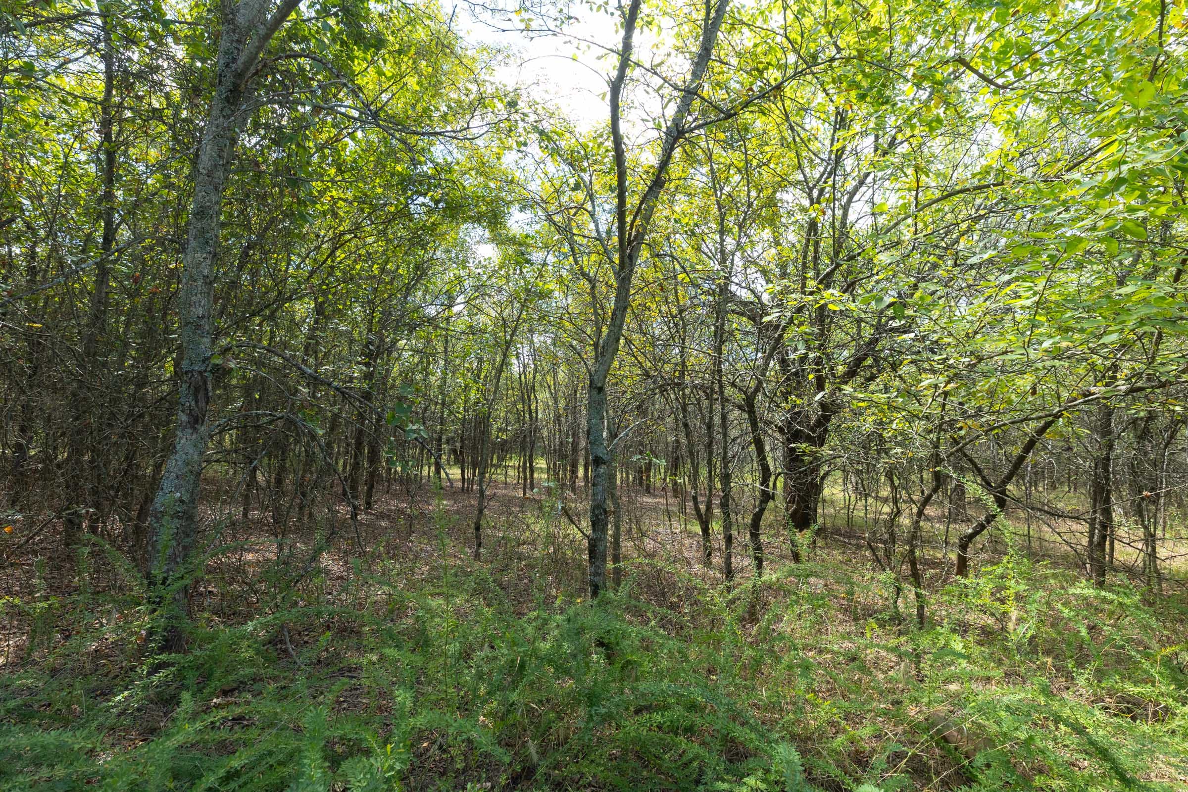Reserves At Cattail Cove Phase II Tract 98 photo 12
