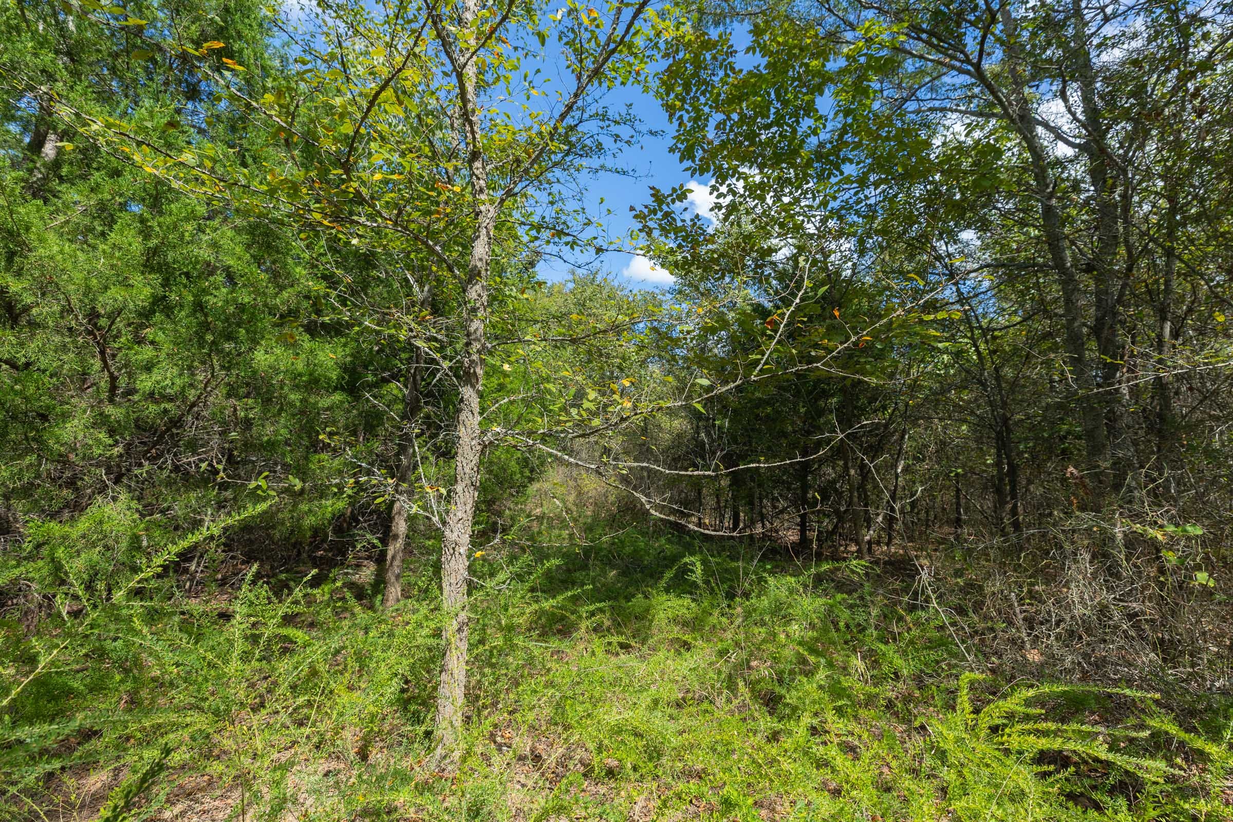Reserves At Cattail Cove Phase II Tract 98 photo 11