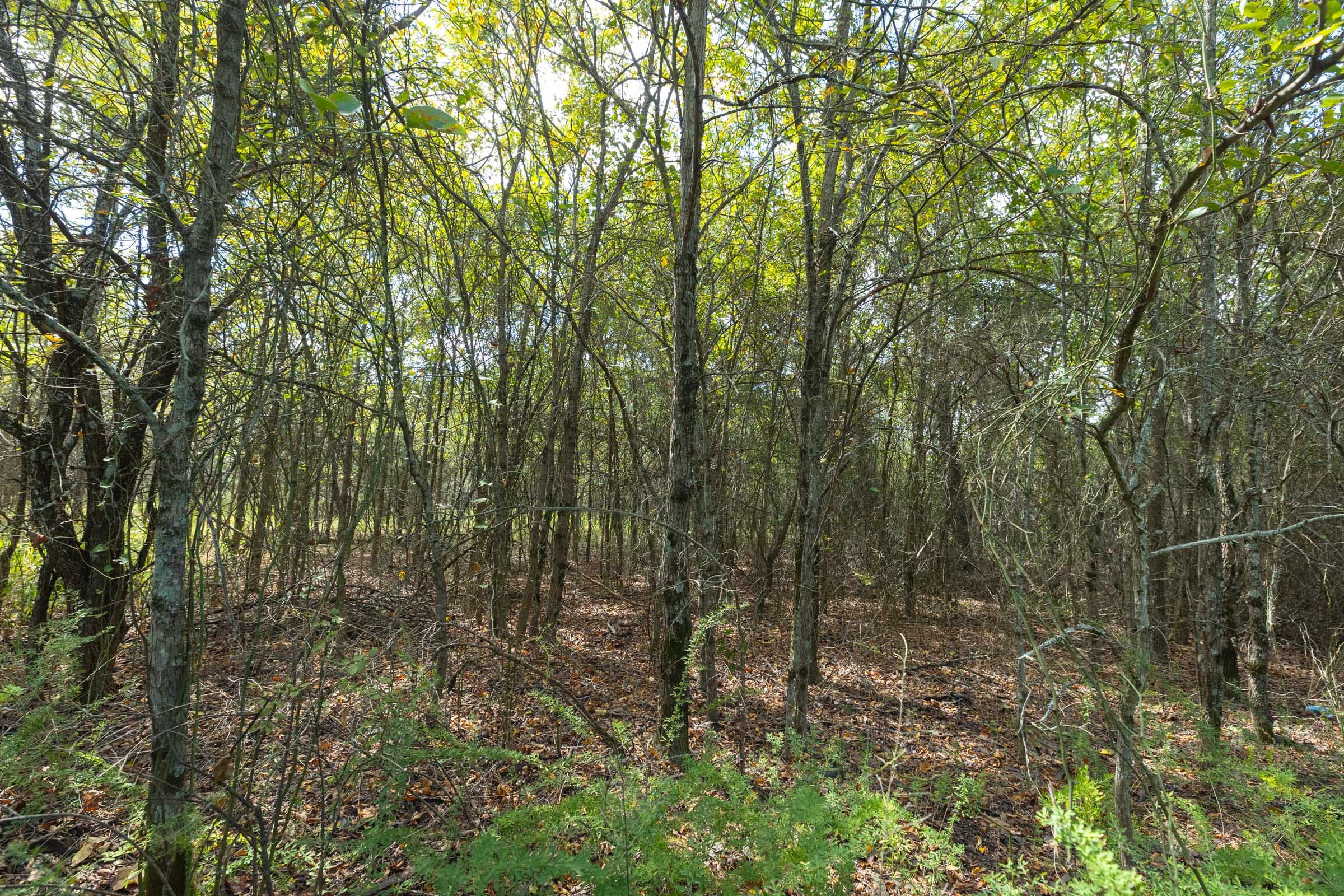 Reserves At Cattail Cove Phase II Tract 98 photo 10