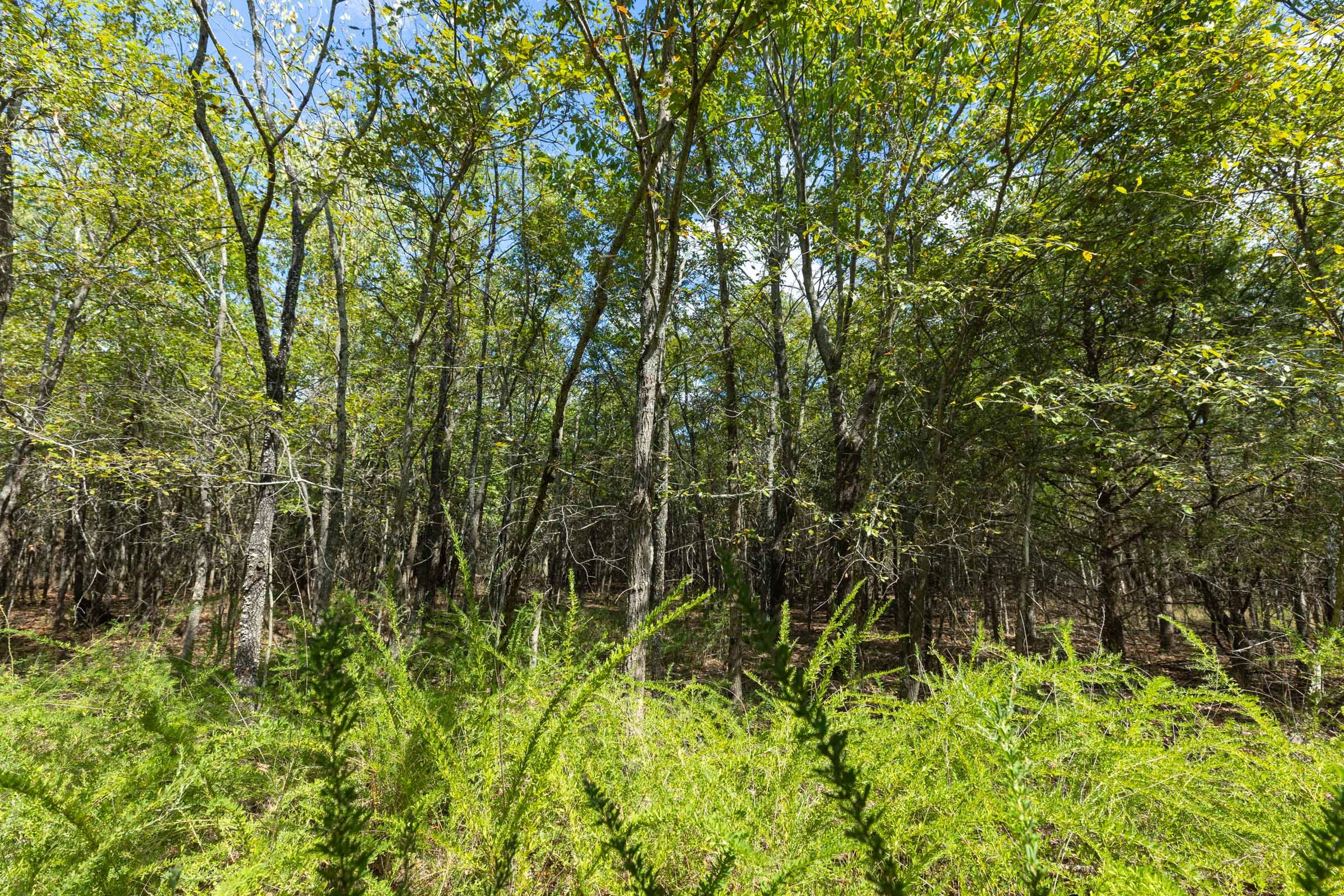 Reserves At Cattail Cove Phase II Tract 98 photo 9