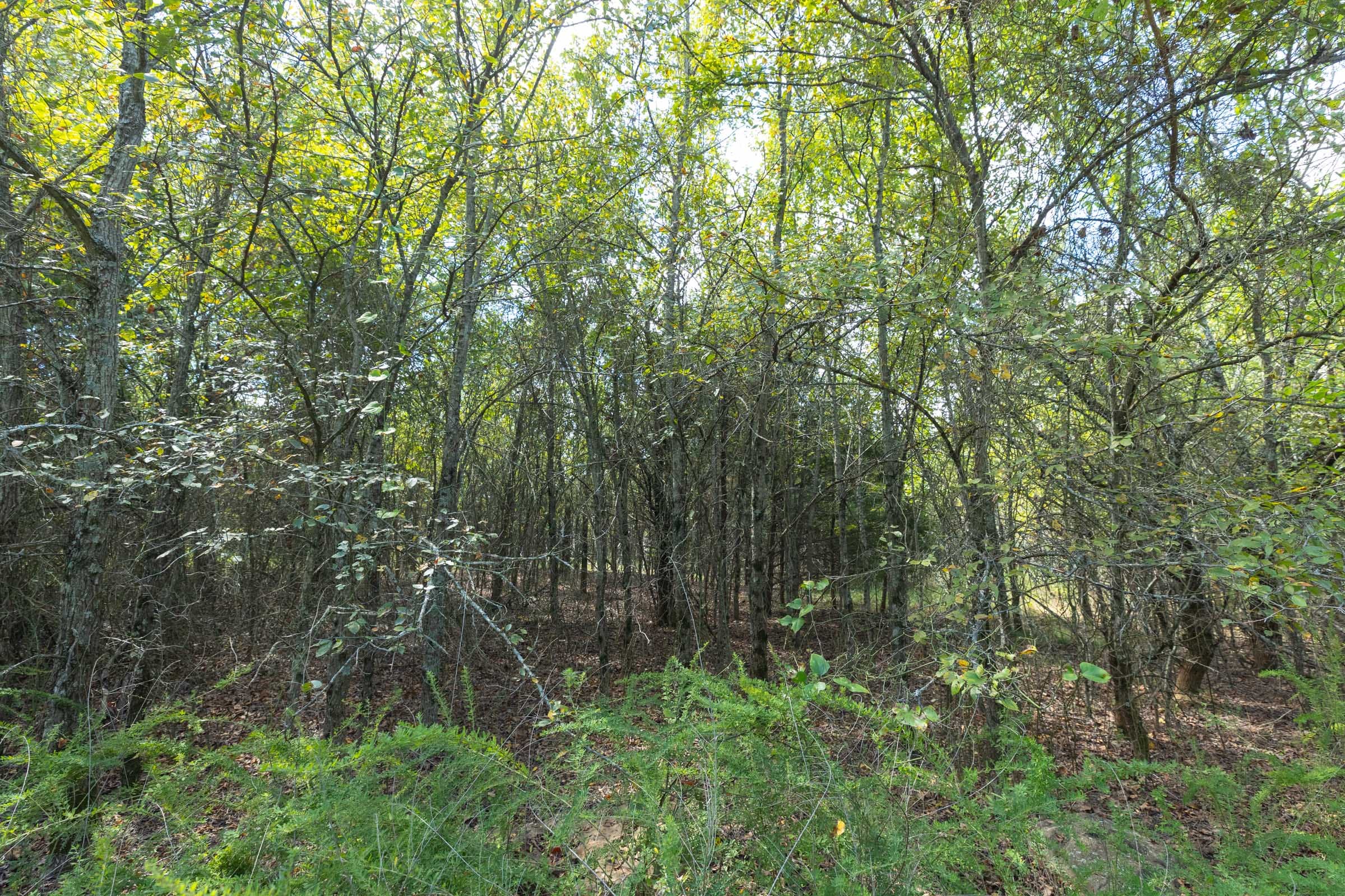 Reserves At Cattail Cove Phase II Tract 98 photo 8