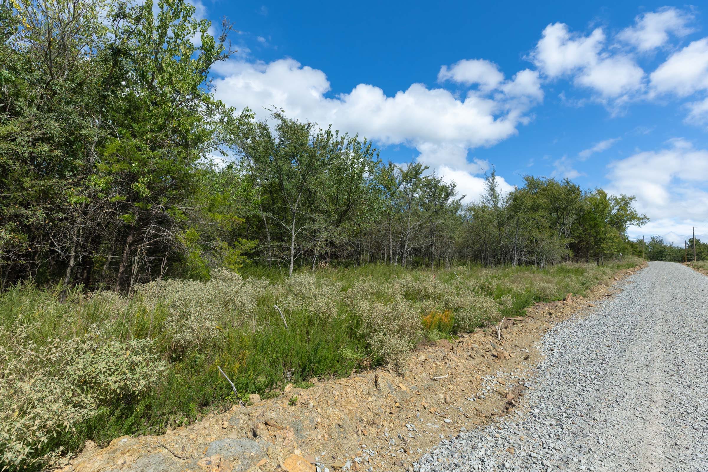 Reserves At Cattail Cove Phase II Tract 98 photo 3