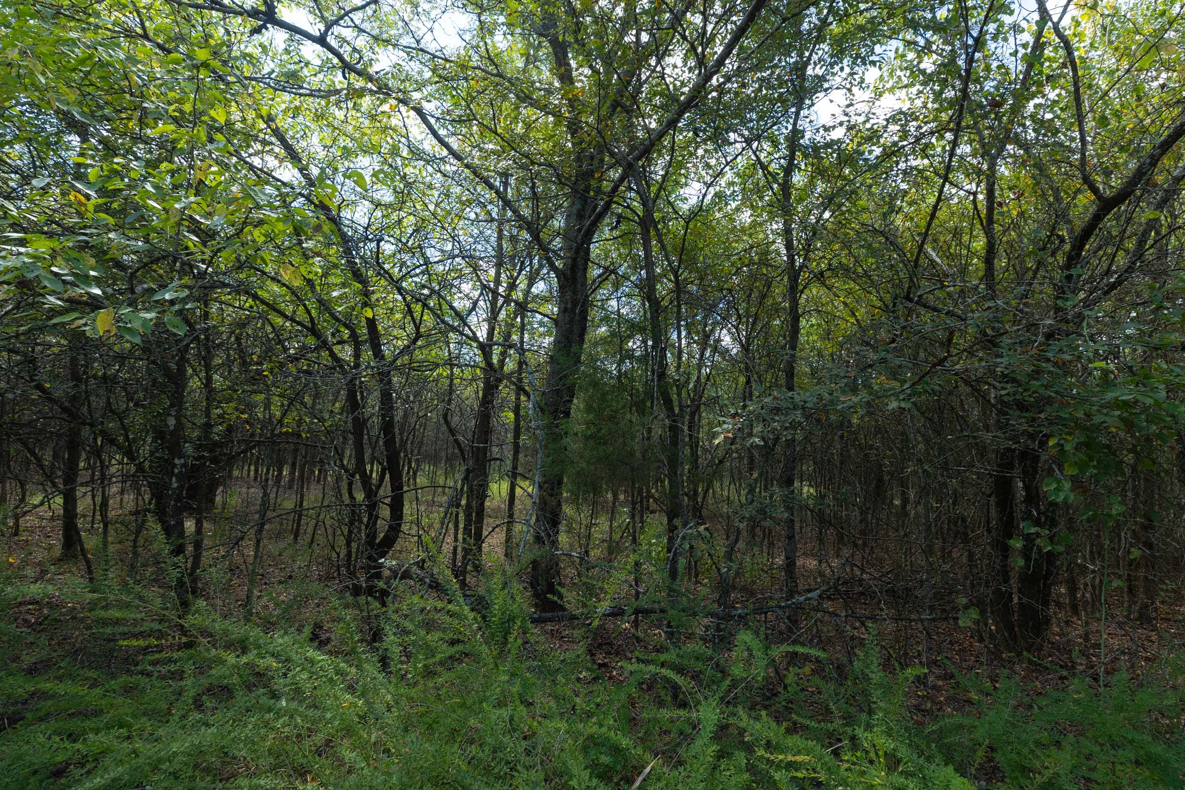 Reserves At Cattail Cove Phase II Tract 98 photo 7