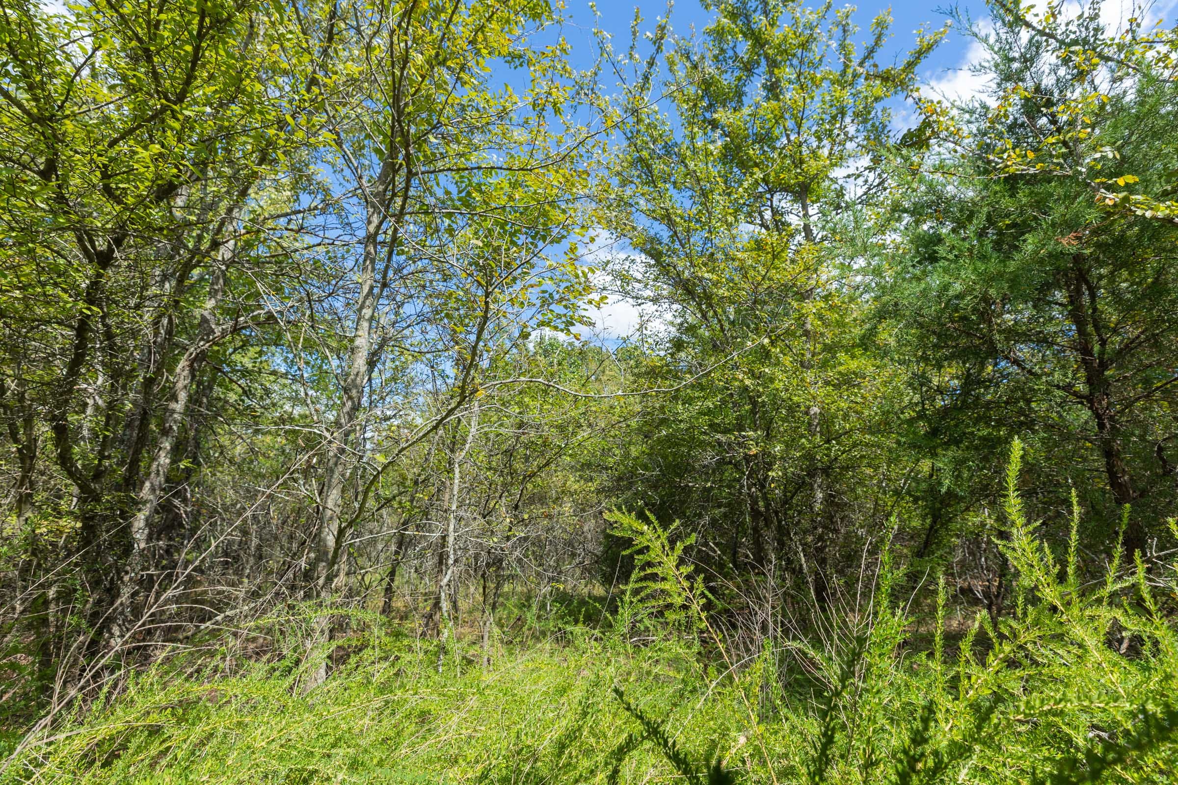 Reserves At Cattail Cove Phase II Tract 98 photo 6