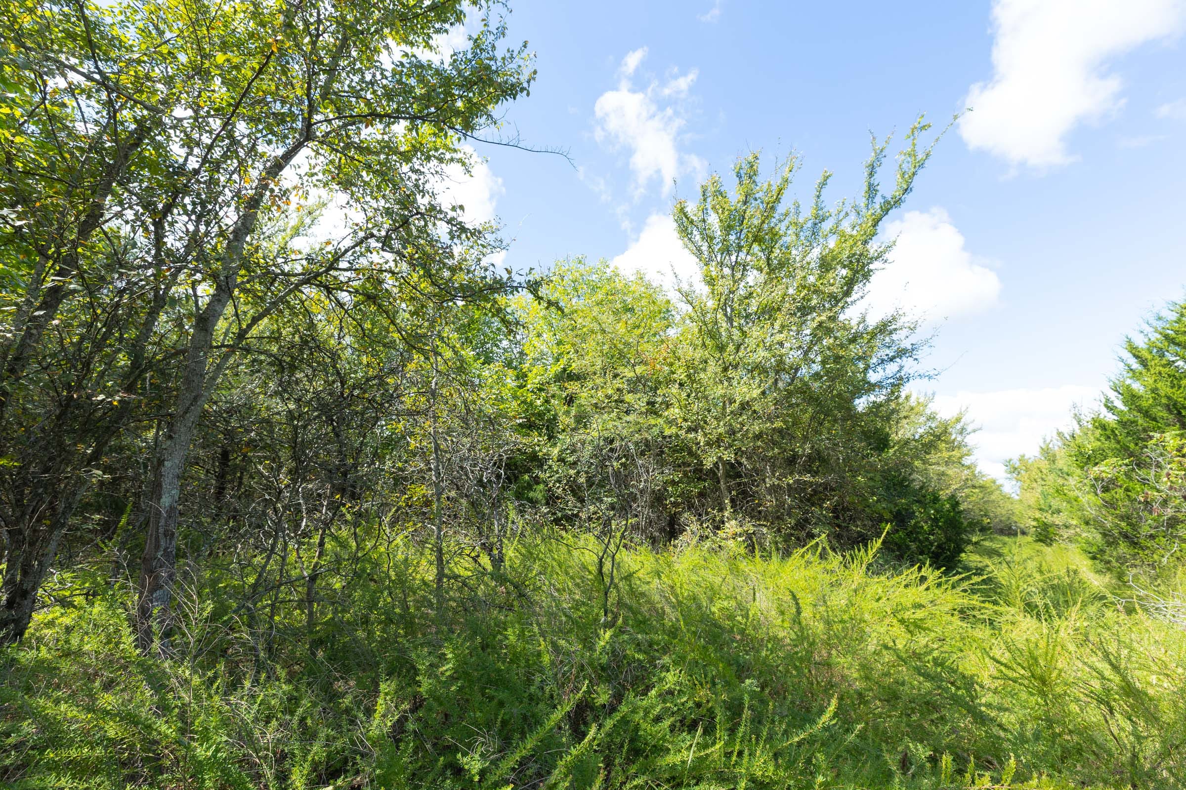 Reserves At Cattail Cove Phase II Tract 98 photo 5