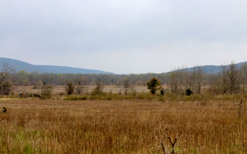Daisy Meadows Tract 19 photo 1