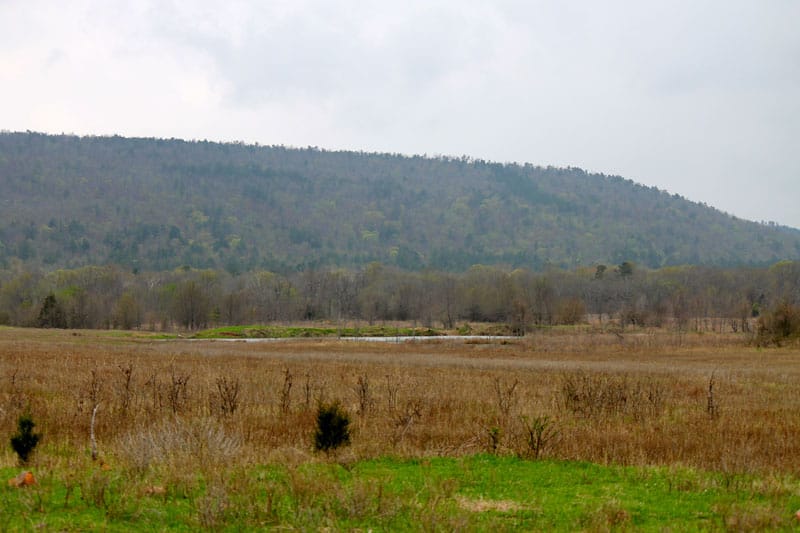 Daisy Meadows Tract 19 photo 2