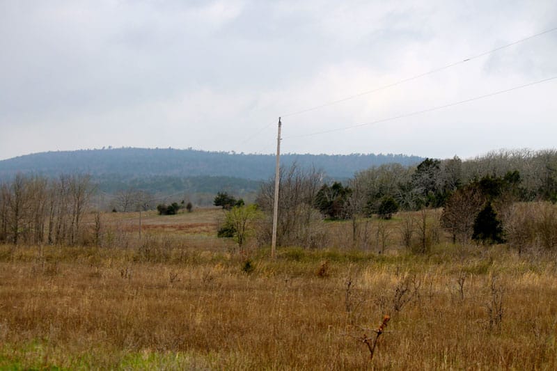 Daisy Meadows Tract 19 photo 3
