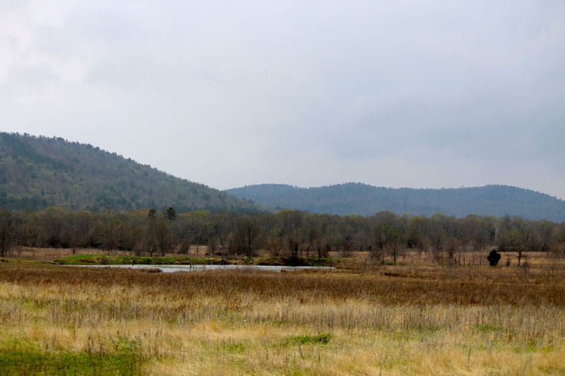 Daisy Meadows Tract 19 photo 4