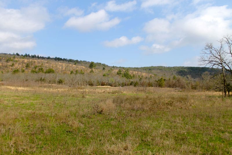 Daisy Meadows Tract 19 photo 7