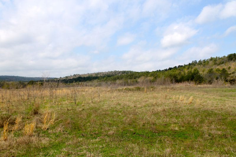 Daisy Meadows Tract 19 photo 8