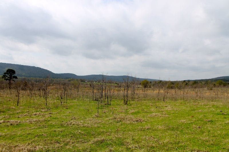 Daisy Meadows Tract 19 photo 9