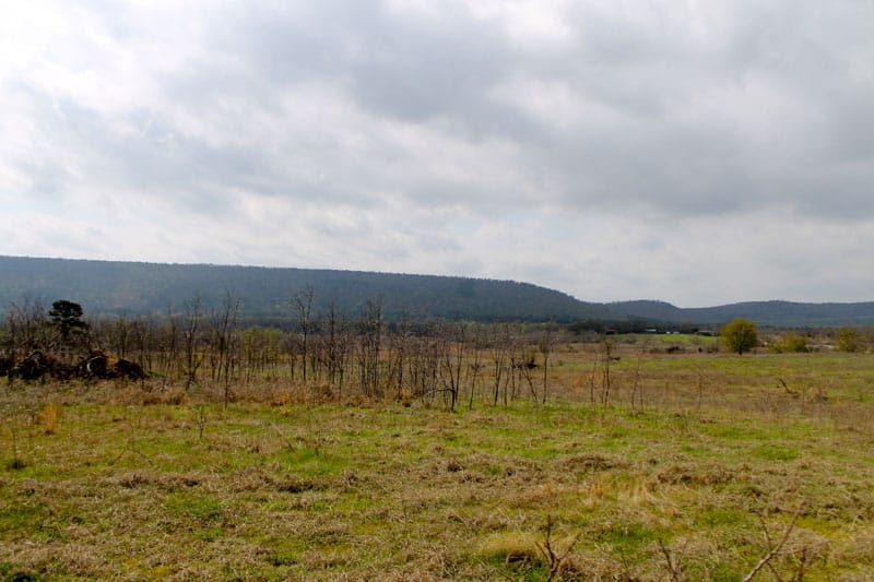 Daisy Meadows Tract 19 photo 10