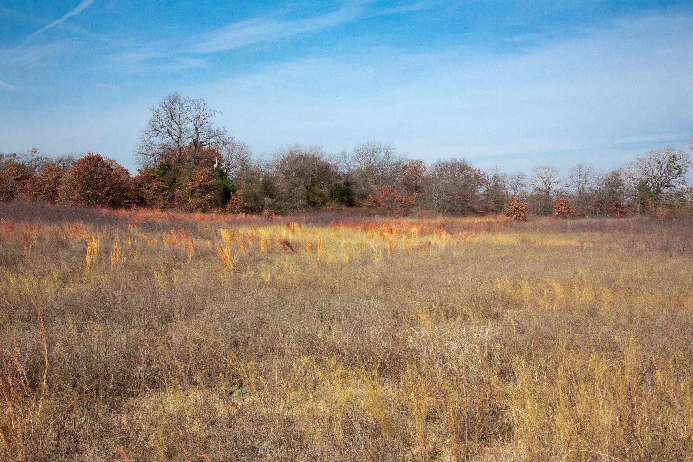 Legacy Ranch Tract 6 photo 8