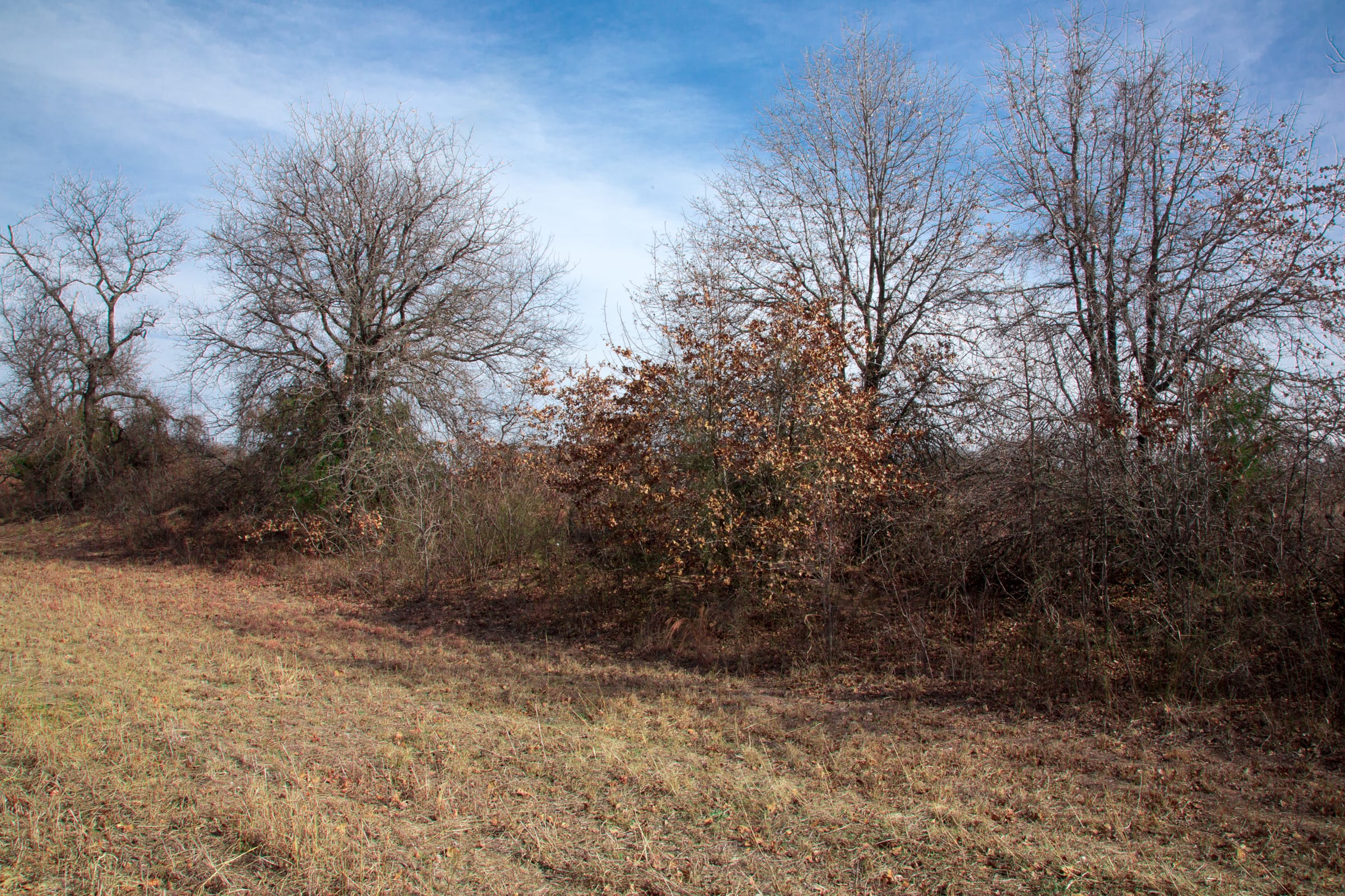 Legacy Ranch Tract 6 photo 12
