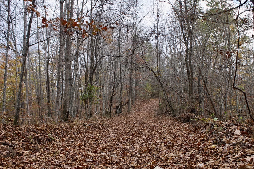 Autumn Ridge Tract 22 photo 1