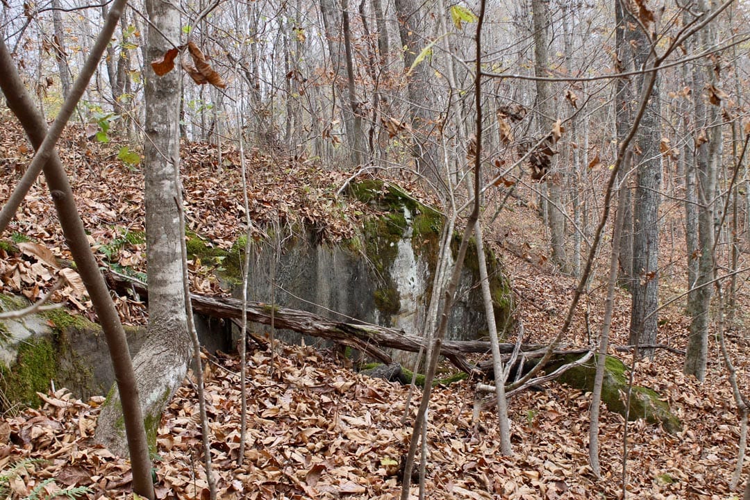 Autumn Ridge Tract 22 photo 2