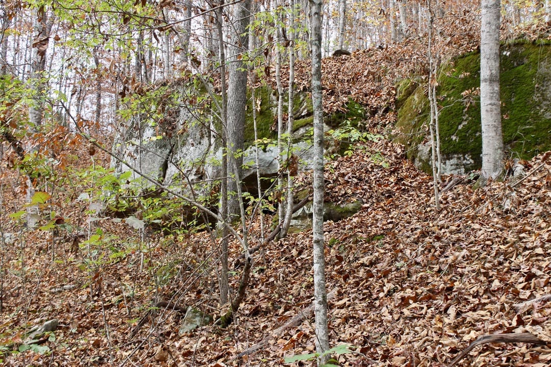 Autumn Ridge Tract 22 photo 4