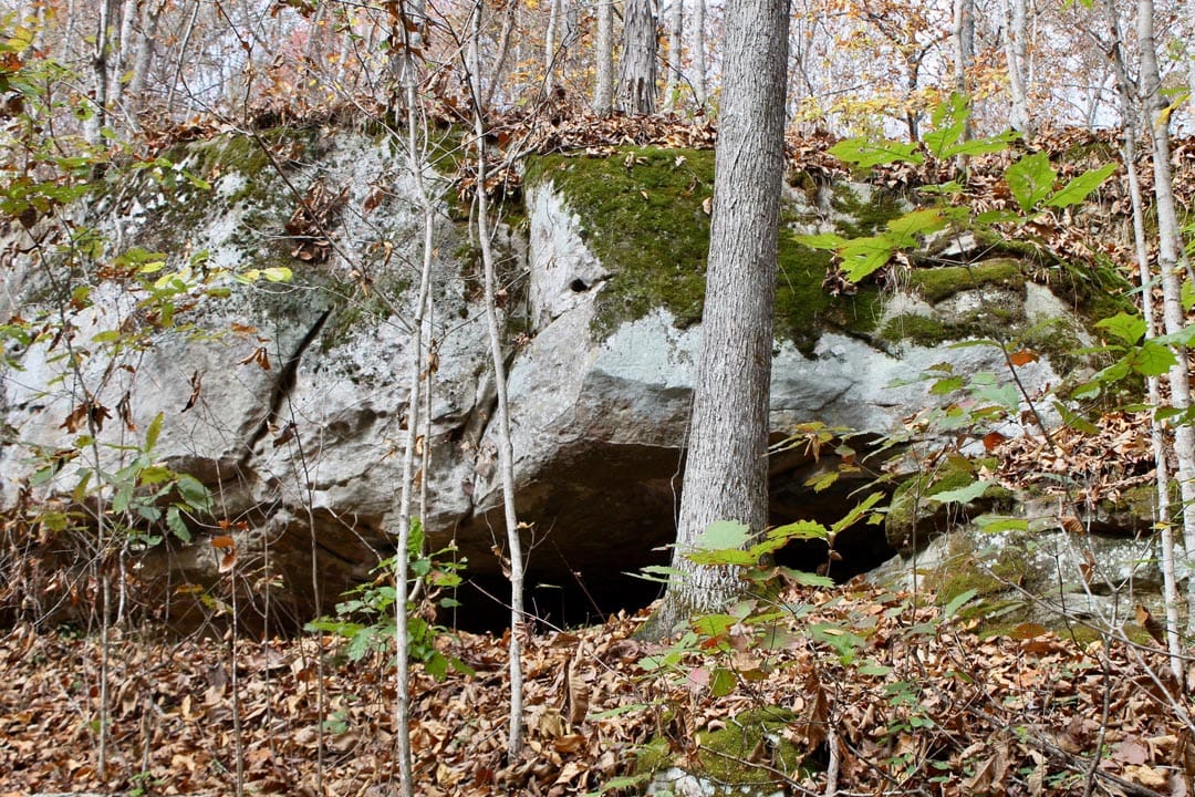 Autumn Ridge Tract 22 photo 5