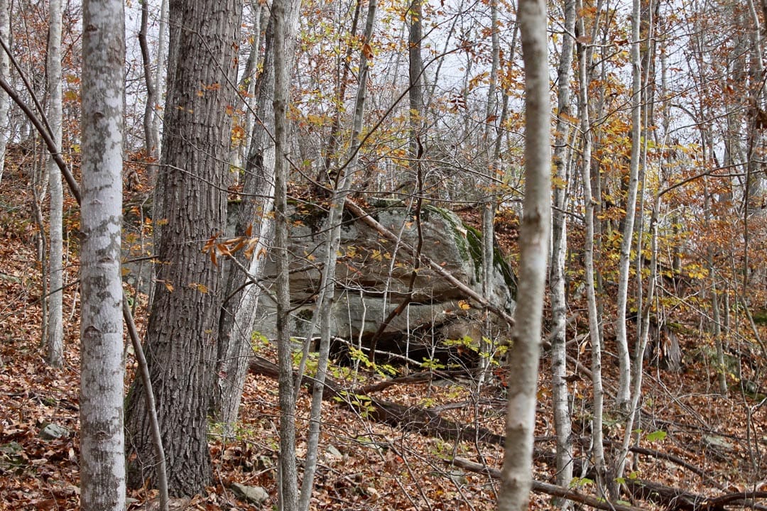 Autumn Ridge Tract 22 photo 6