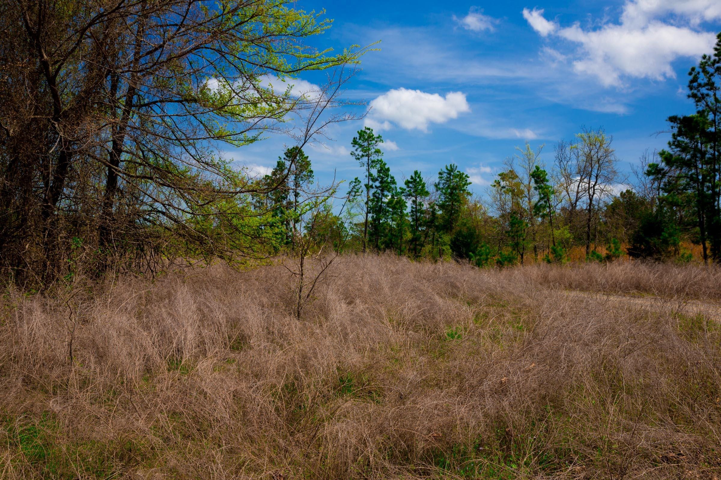 Stone Creek Phase II Tract 241 photo 6