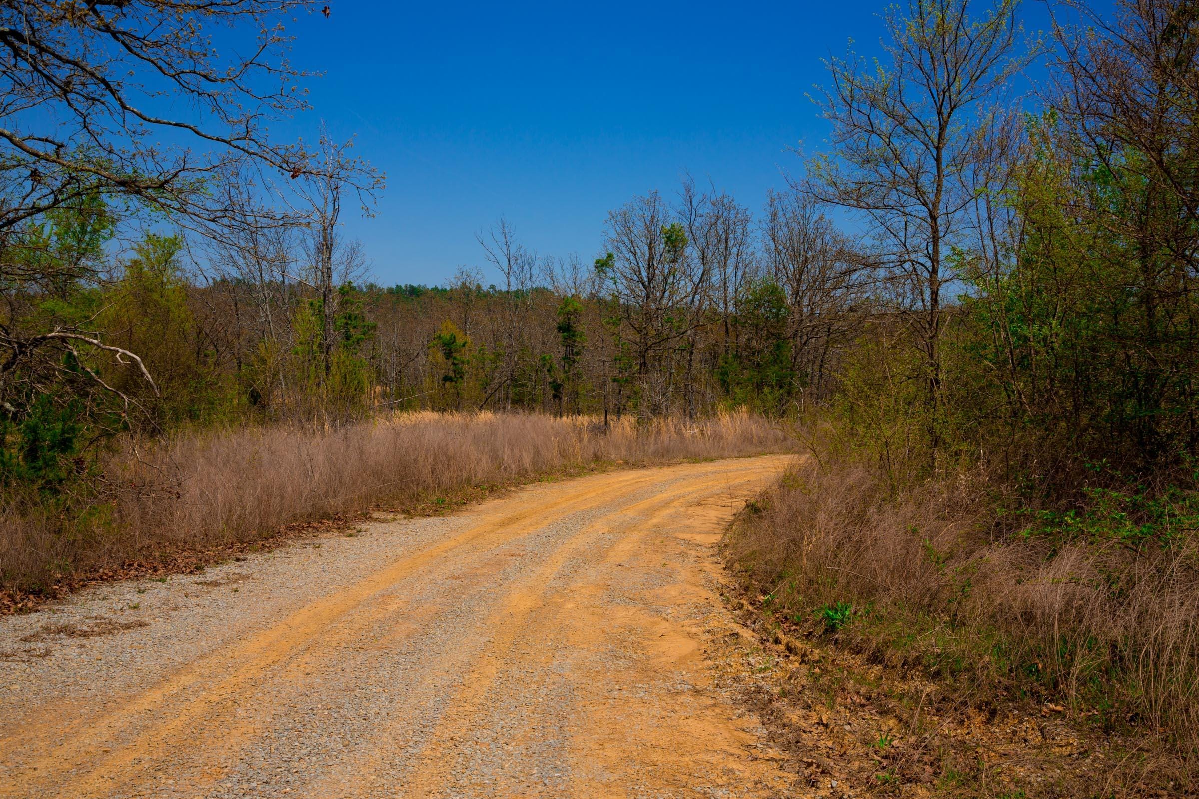 Stone Creek Phase II Tract 241 photo 5