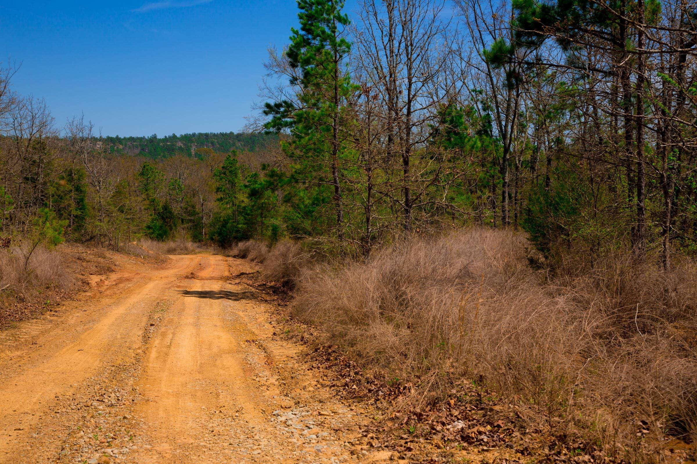 Stone Creek Phase II Tract 241 photo 8