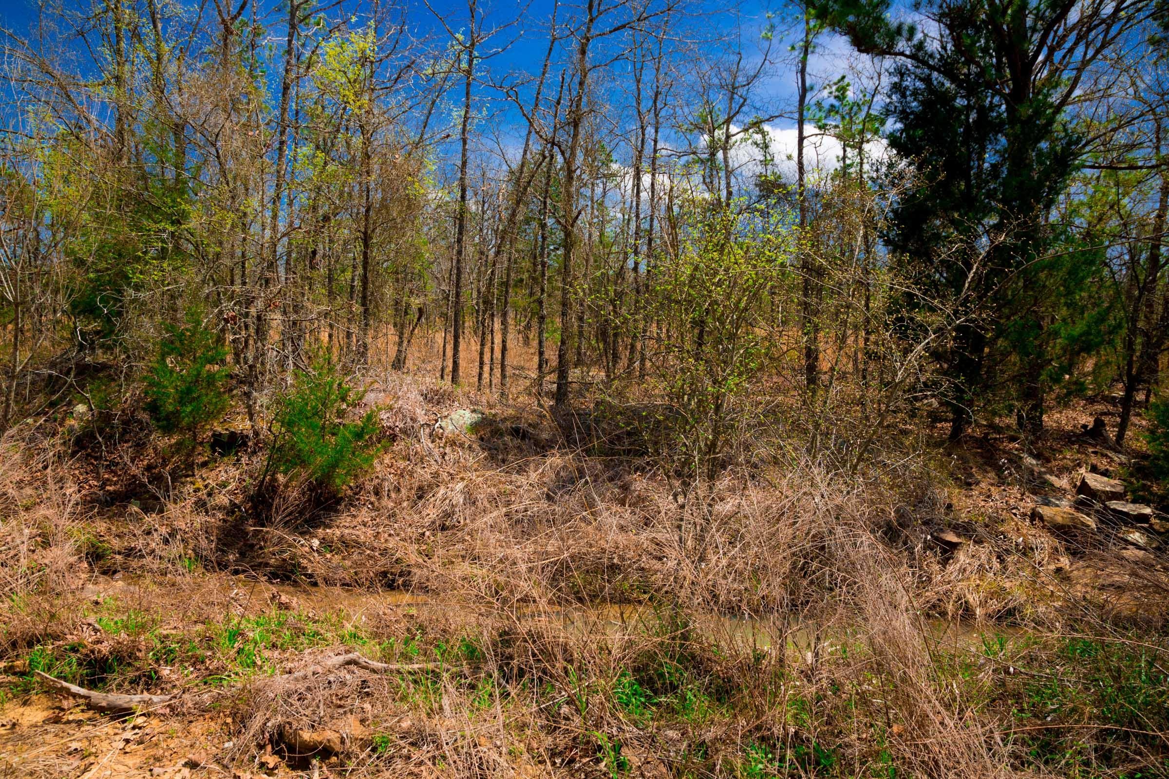 Stone Creek Phase II Tract 241 photo 7