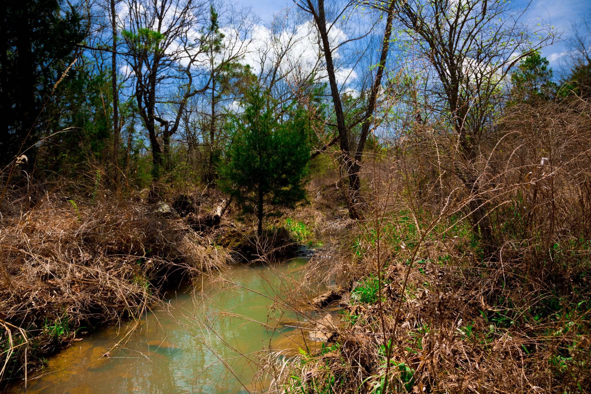 Stone Creek Phase II Tract 241 photo 4