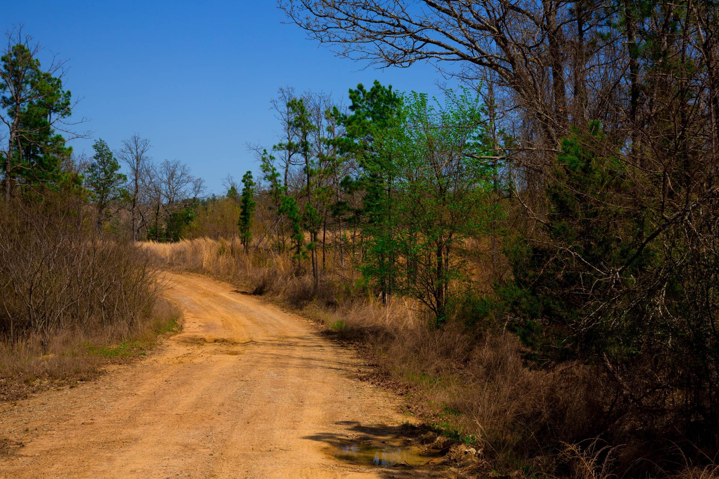 Stone Creek Phase II Tract 241 photo 11