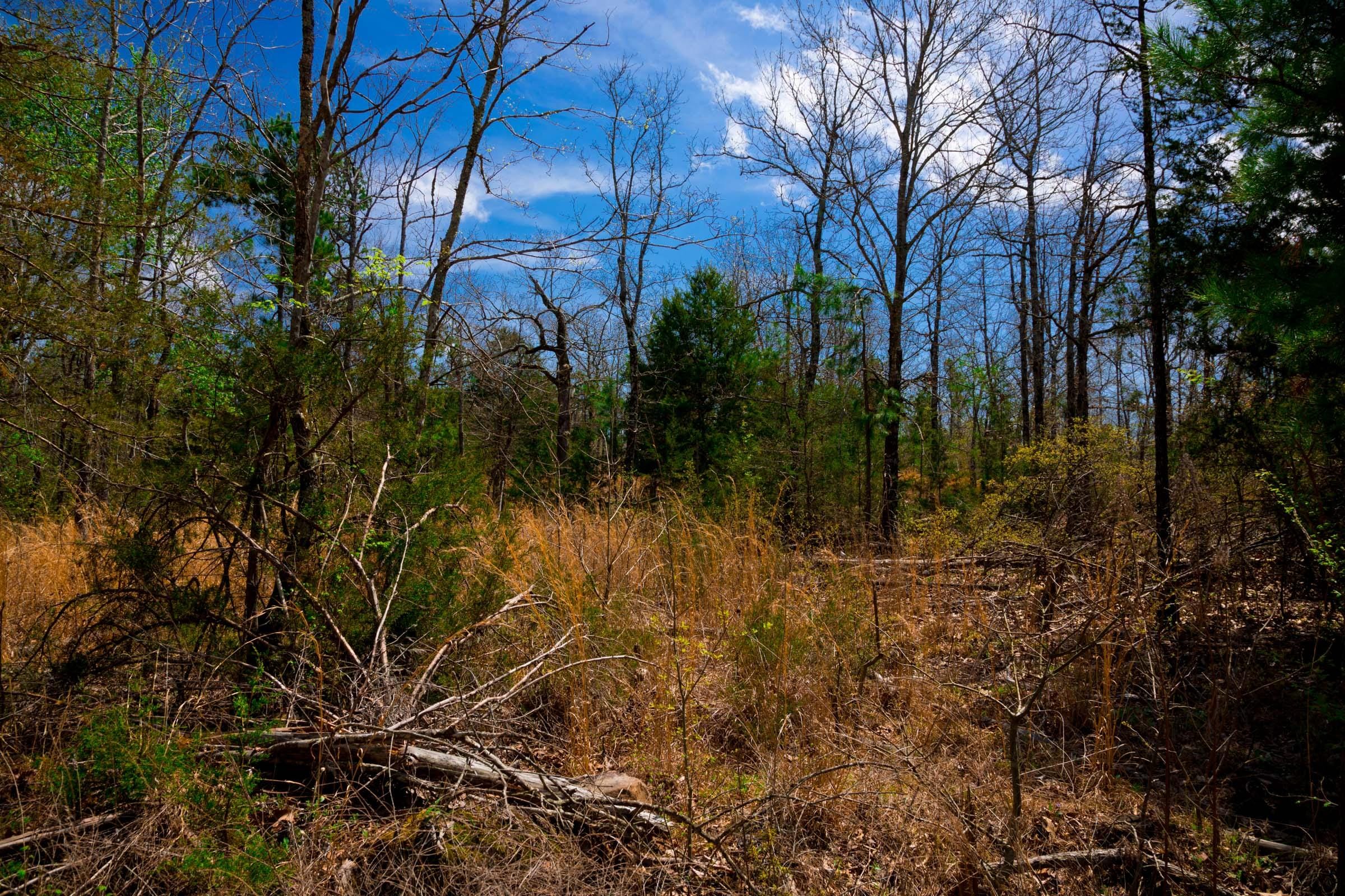 Stone Creek Phase II Tract 241 photo 10