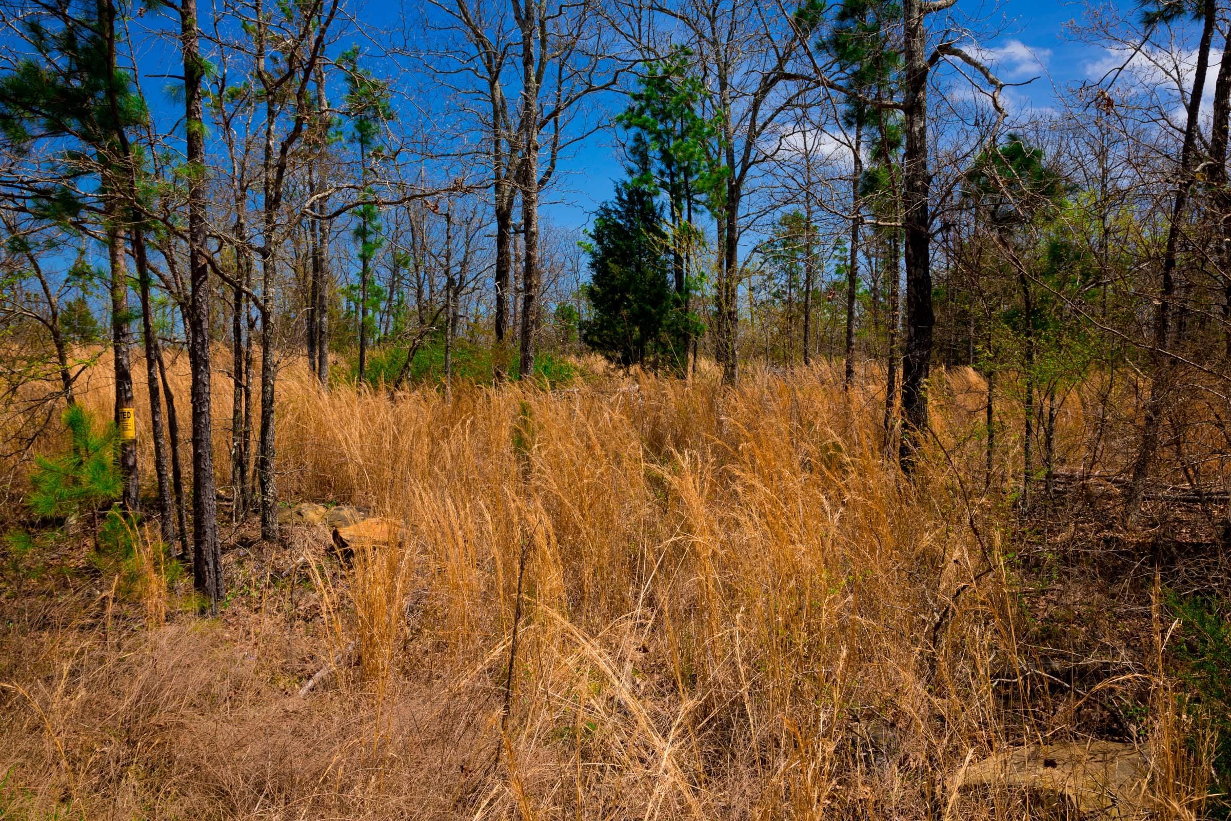 Stone Creek Phase II Tract 241 photo 12