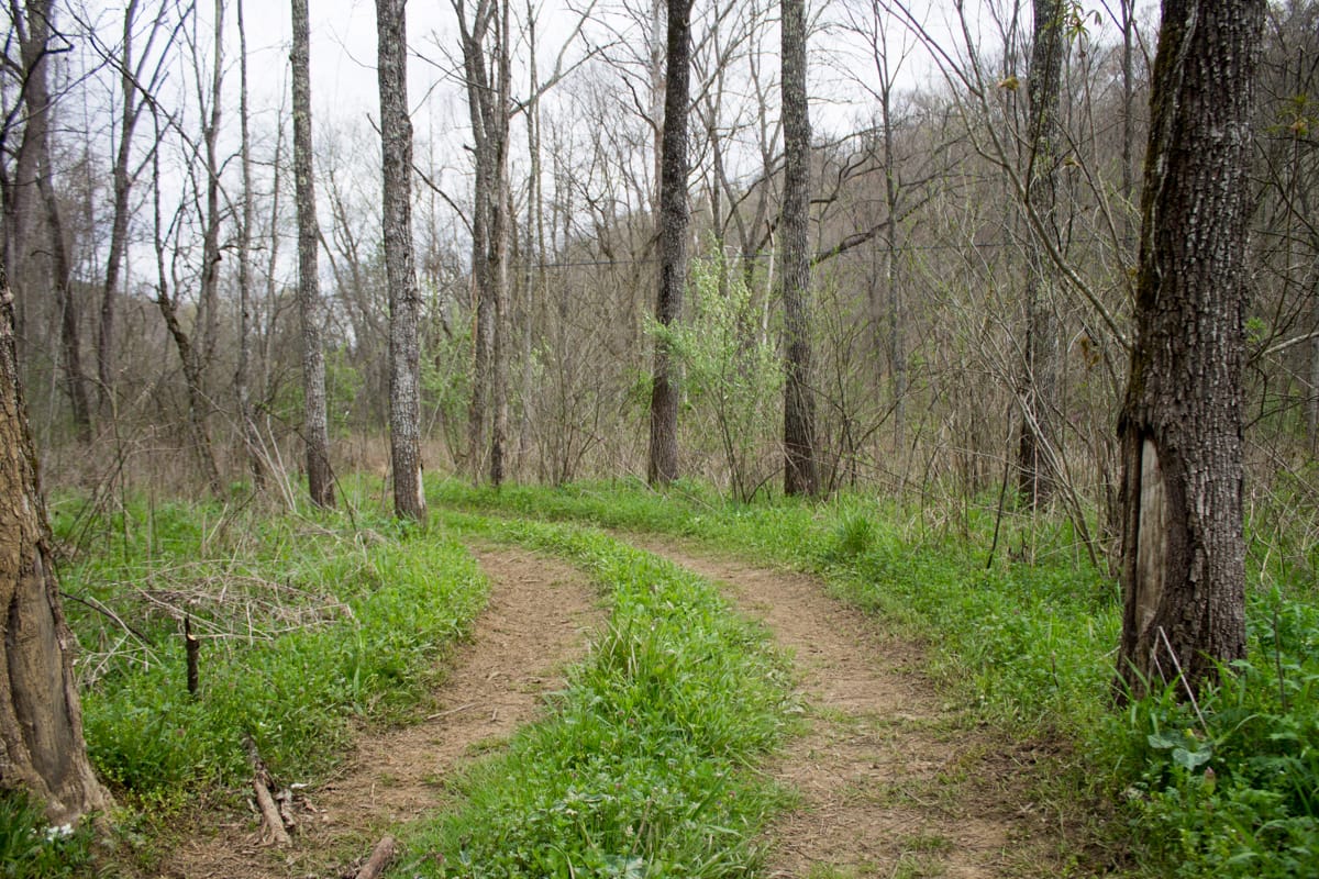 Chestnut Oak Ridge Tract 9 photo 4