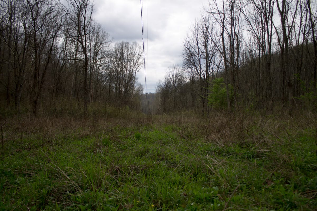 Chestnut Oak Ridge Tract 9 photo 6