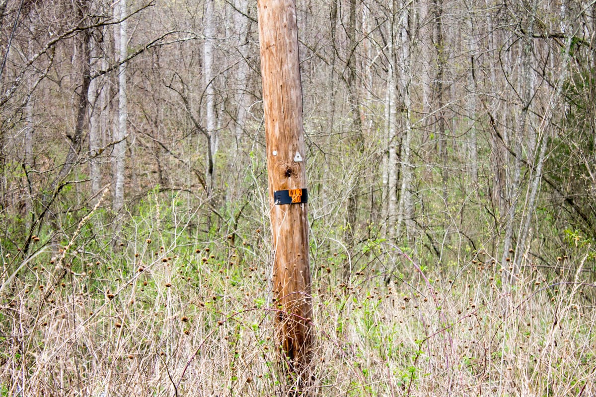 Chestnut Oak Ridge Tract 9 photo 7