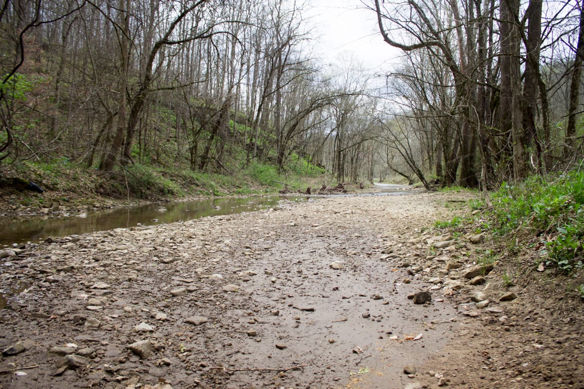 Chestnut Oak Ridge Tract 9 photo 10