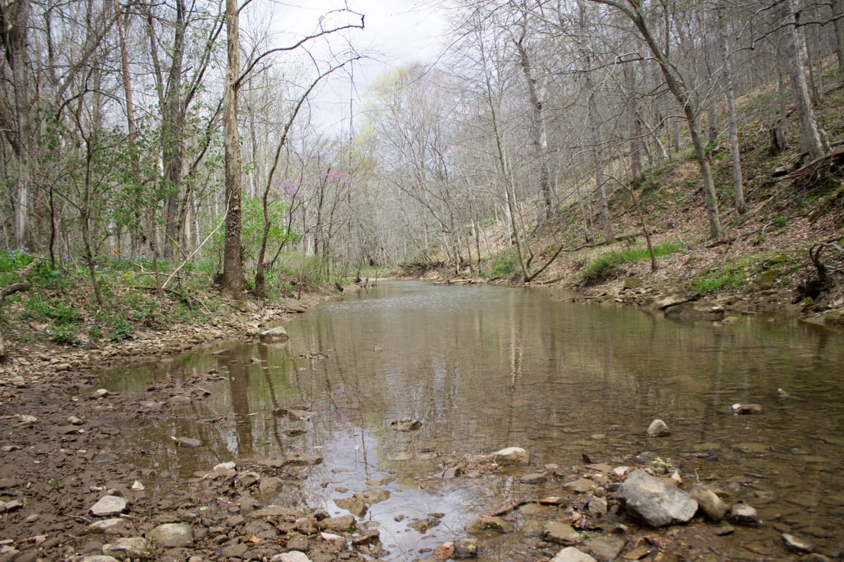 Chestnut Oak Ridge Tract 9 photo 11