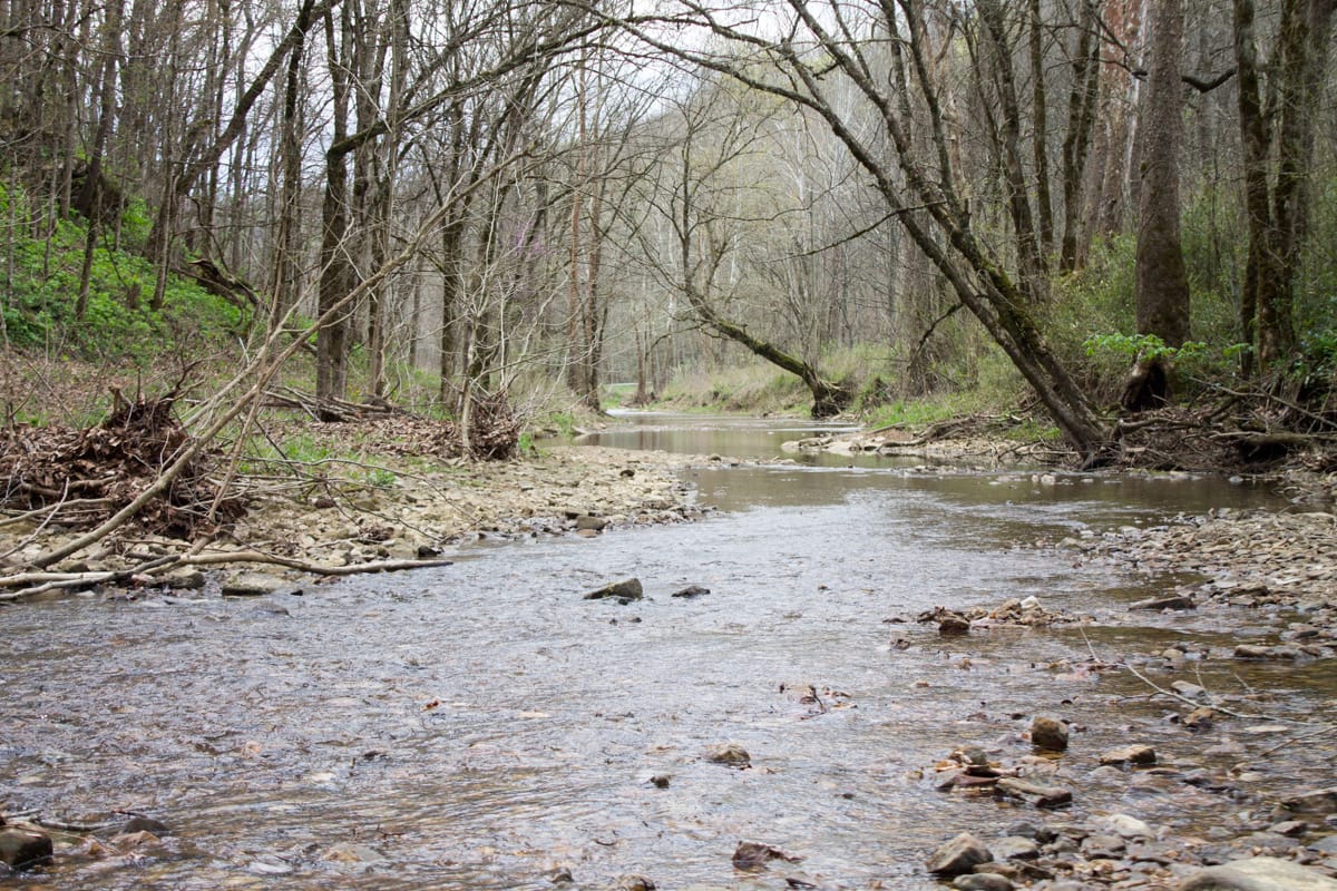 Chestnut Oak Ridge Tract 9 photo 12