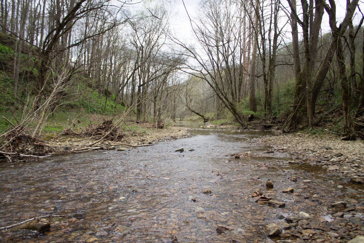 Chestnut Oak Ridge Tract 9 photo 14