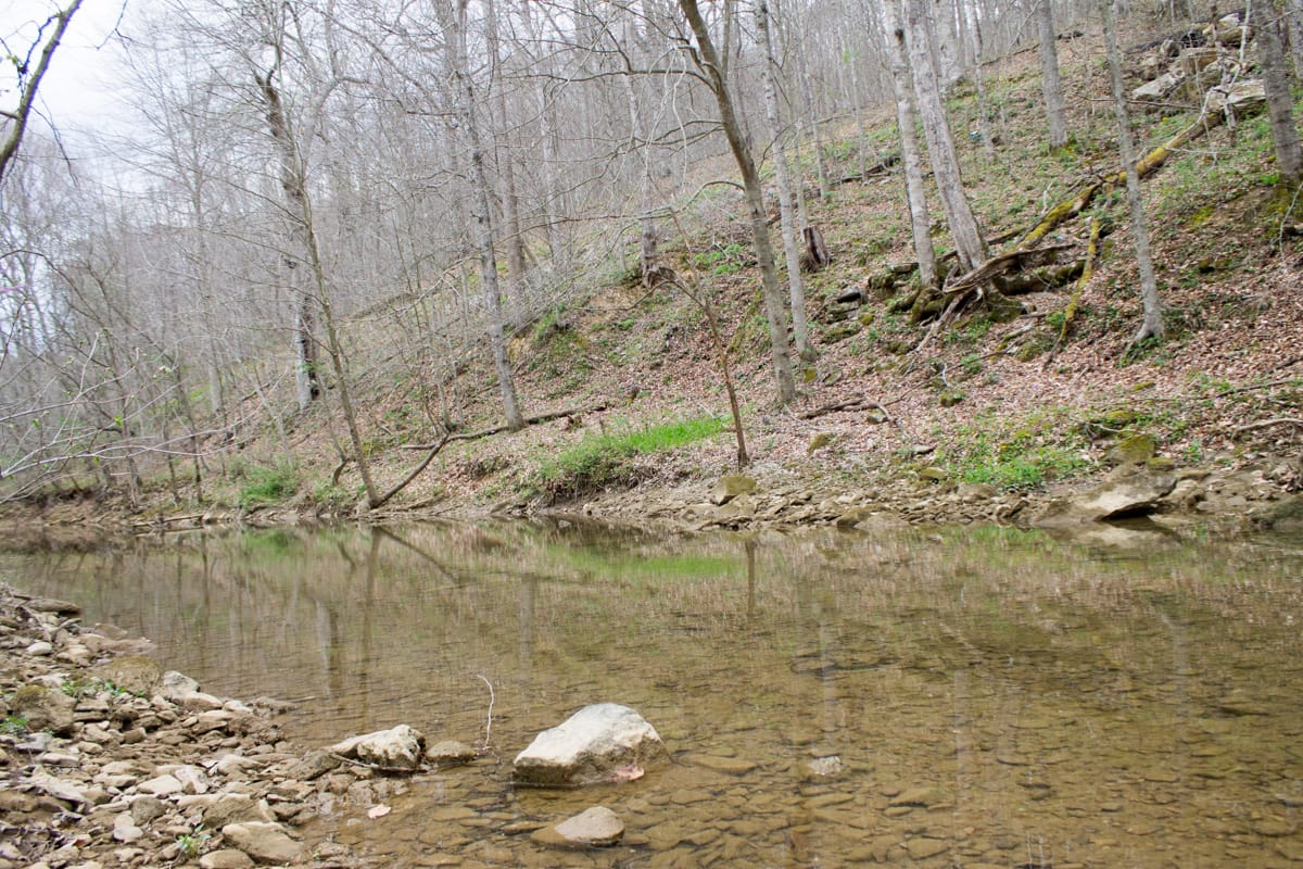 Chestnut Oak Ridge Tract 9 photo 17