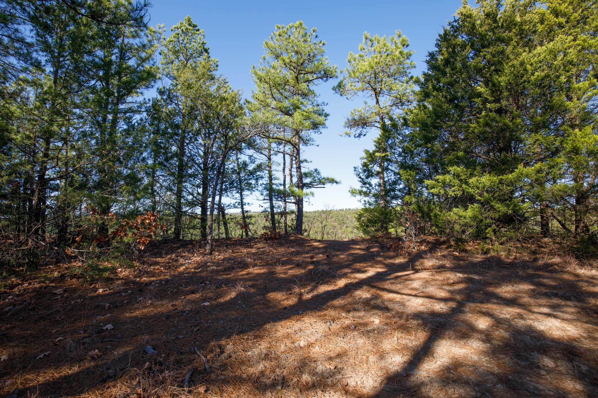 Stone Bridge Phase II Tract 76 photo 18