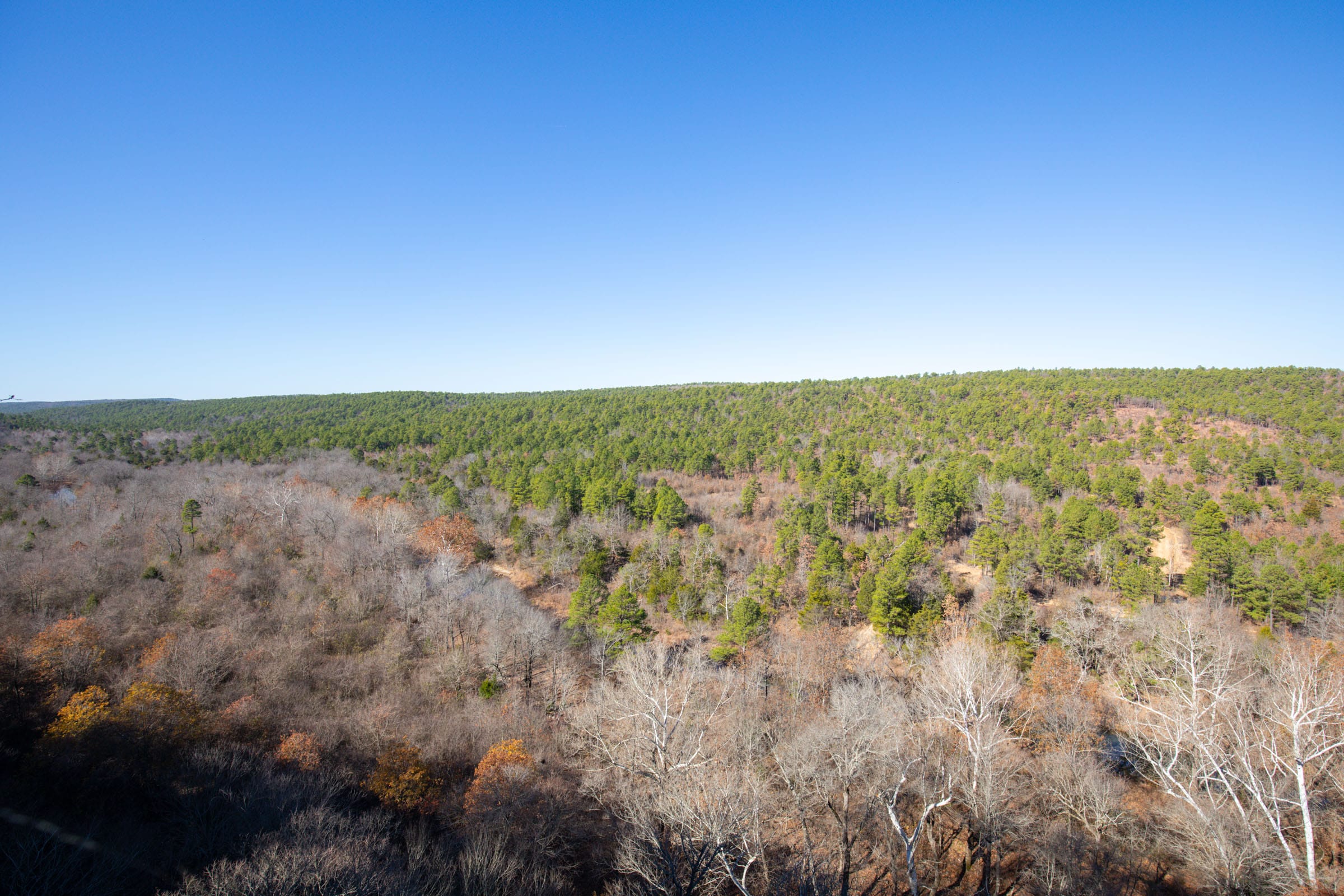 Stone Bridge Phase II Tract 76 photo 3