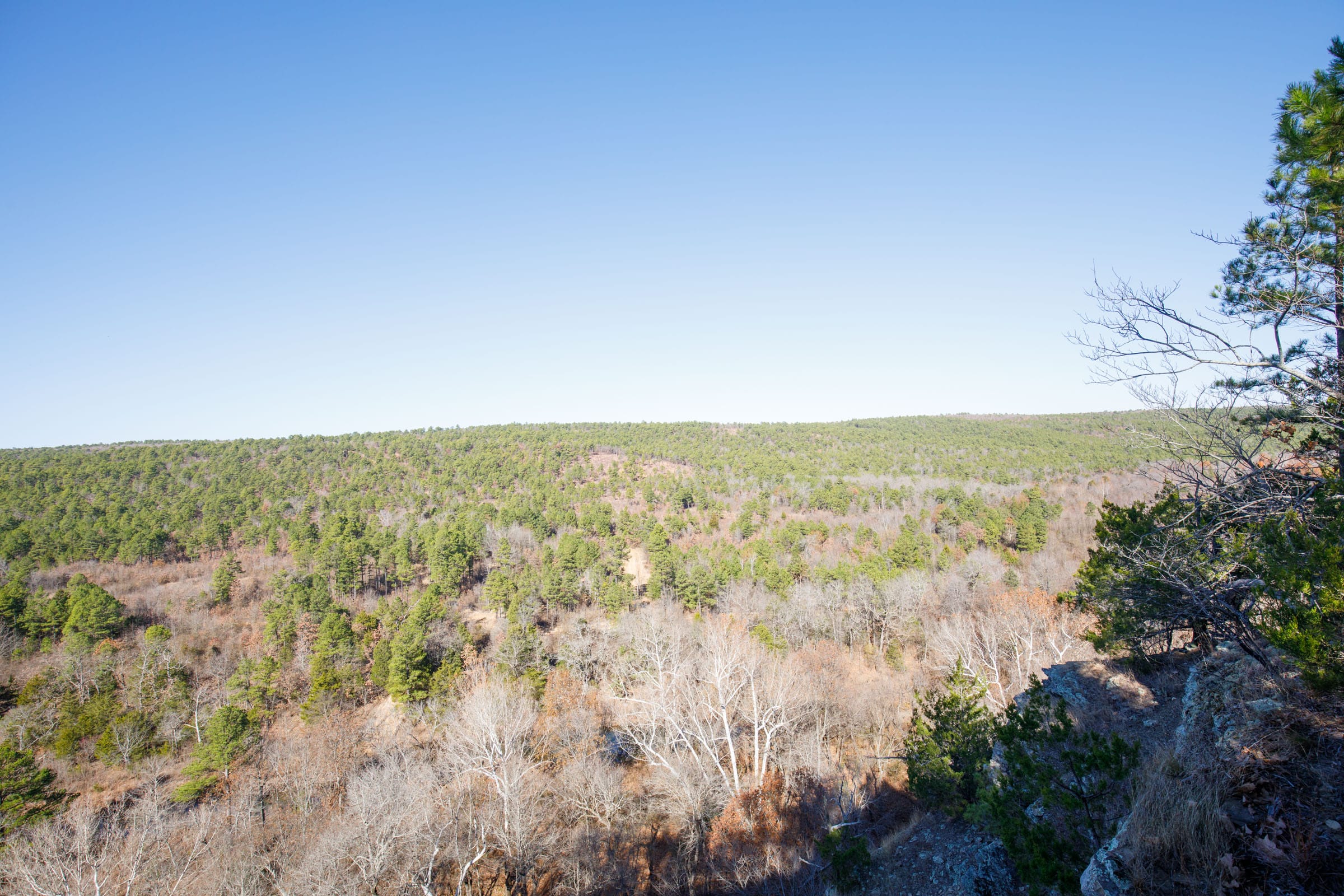 Stone Bridge Phase II Tract 76 photo 4