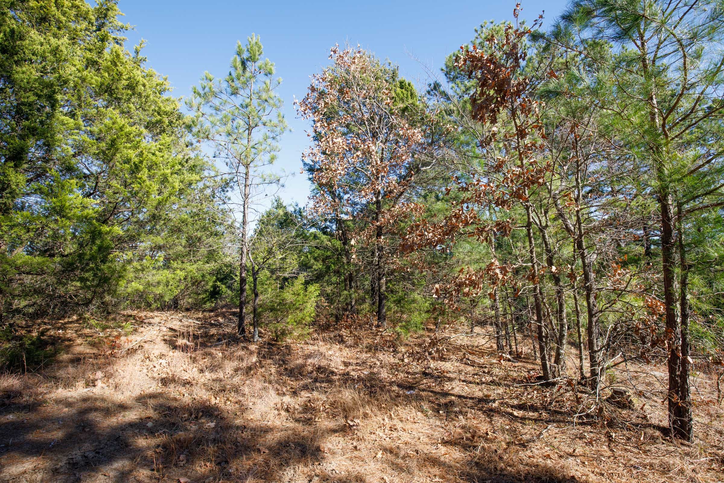 Stone Bridge Phase II Tract 76 photo 5