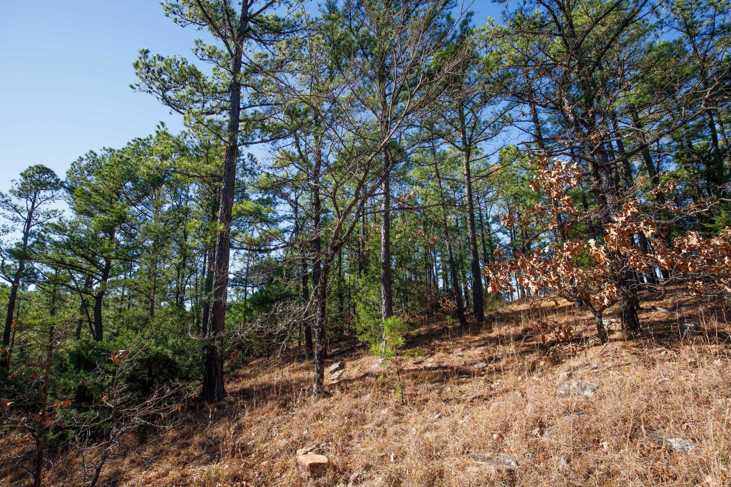 Stone Bridge Phase II Tract 76 photo 9