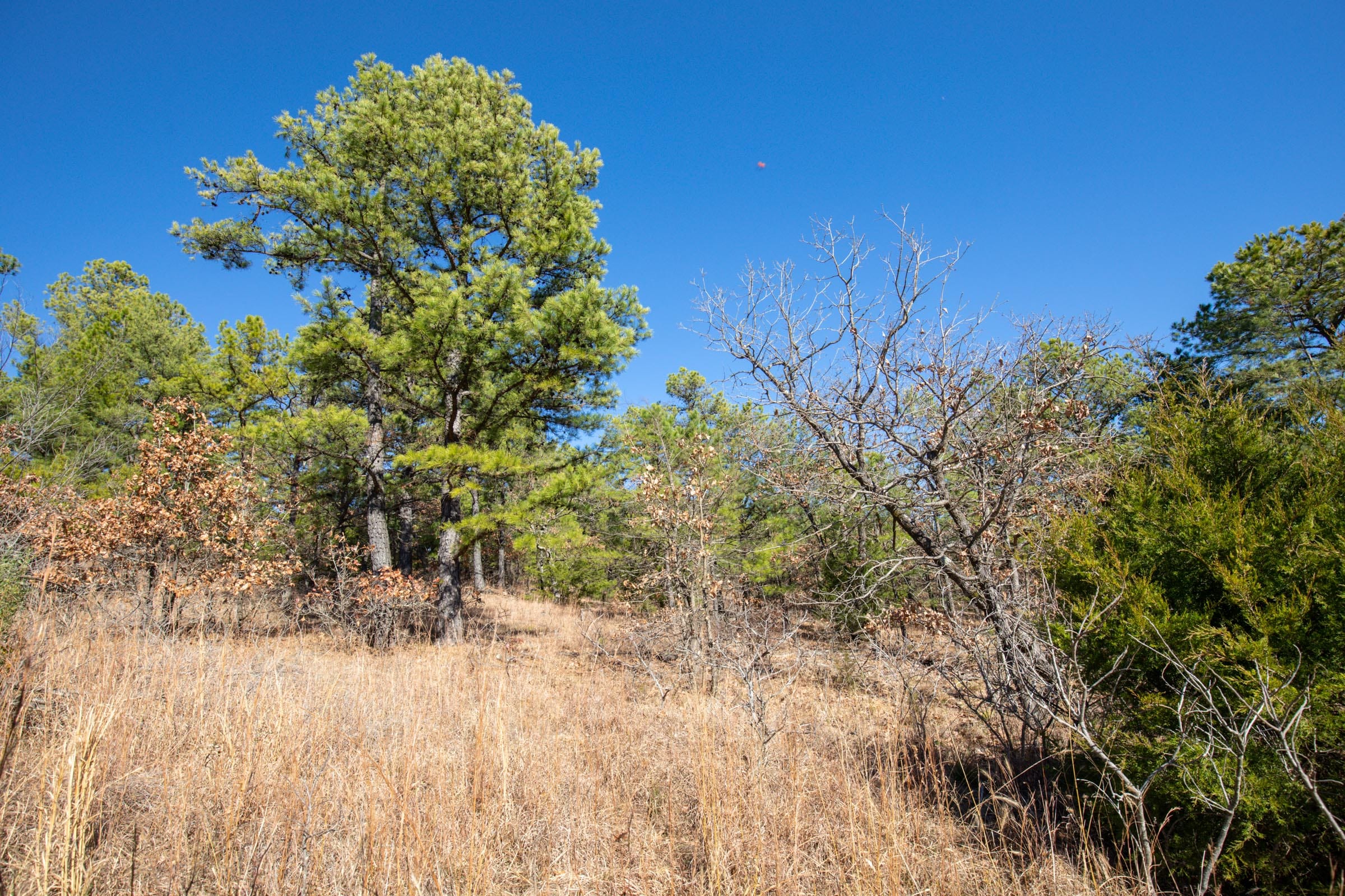 Stone Bridge Phase II Tract 76 photo 11