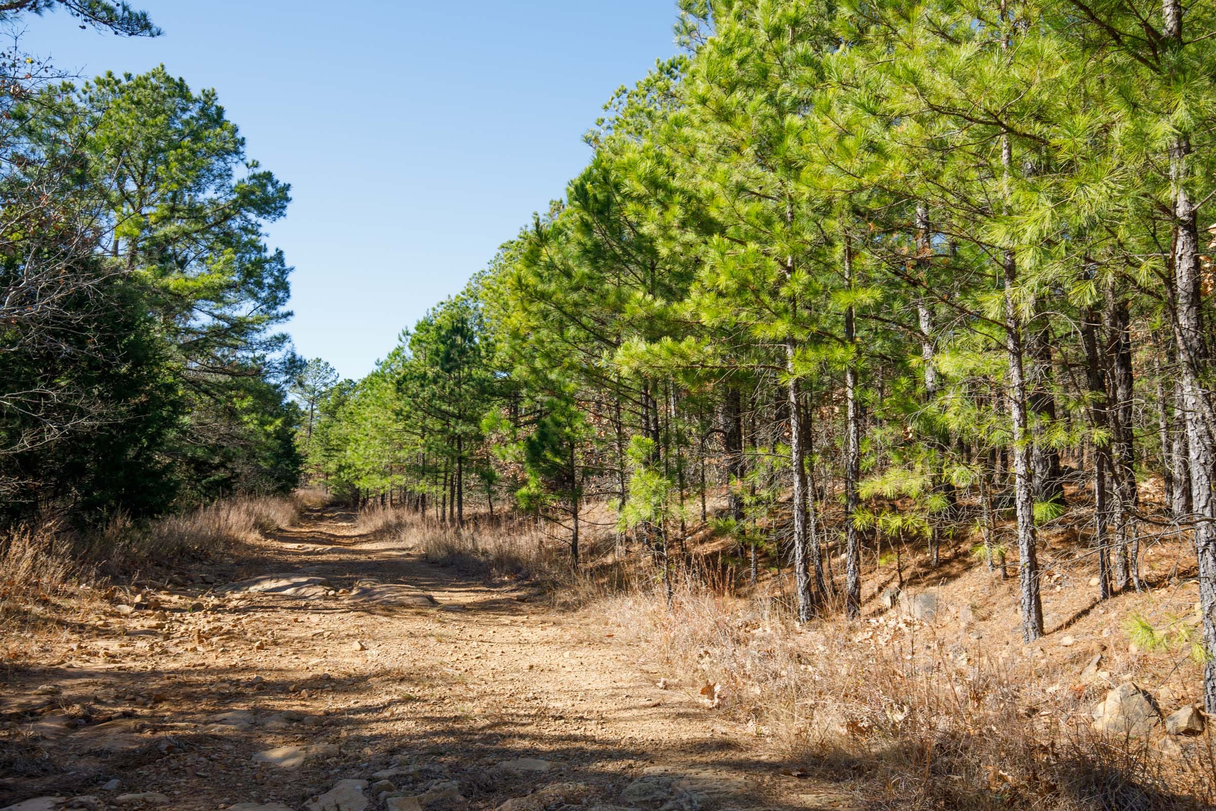 Stone Bridge Phase II Tract 76 photo 13